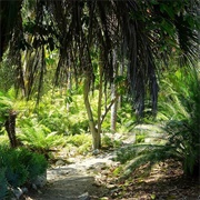 Mildred E. Mathias Botanical Garden