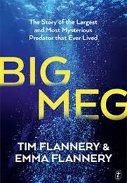 Big Meg (Tim Flannery & Emma Flannery)