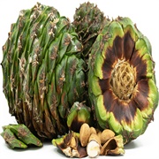 Bunya Pine Nuts