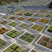 Hyakudanen Garden Stairs, Awaji Island, Japan