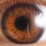 Eye