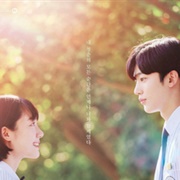 A Love So Beautiful (Korean)