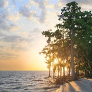 Fontainebleau State Park
