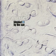 Blinded by the Sun - The Seahorses