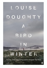 A Bird in Winter (Louise Doughty)