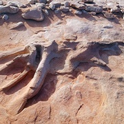 Moenave Dinosaur Tracks