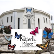 The Butterfly Palace (Branson, MO)