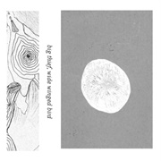 Wide Winged Bird EP (Big Thief, 2018)