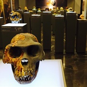 Georgian National Museum, Tbilisi, Georgia