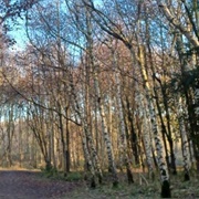 Hinckley Reservation