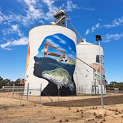 Paringa, South Australia