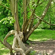 Park Claeys-Bouüaert, Mariakerke
