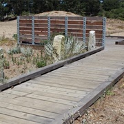 United States Marine Hospital Cemetery