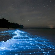 Sea of Stars, Vaadhoo Island, Maldives