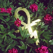 Paraphernalia - Temples