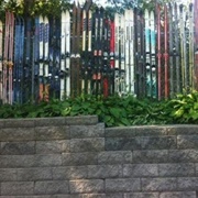 Alpine Asphalt's Wall of Skis