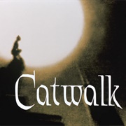 Catwalk