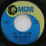 Ain't That a Shame - Hank Williams Jr.