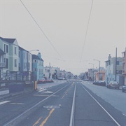 Jinsang - Gratitude.