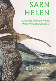 Sarn Helen: A Journey Through Wales (Tom Bullough)