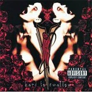Vanilla Ice - Hard to Swallow
