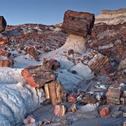 Petrified Forest National Park