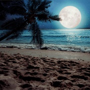 Spend the Night on a Beach