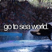 Go to Sea World