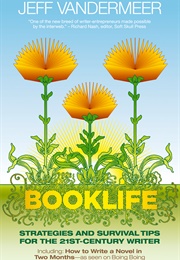 Booklife: Strategies and Survival Tips for the 21st-Century Writer (Jeff Vandermeer)