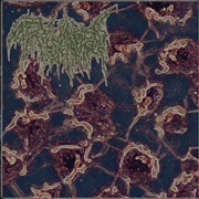 Trichomoniasis - Terminal Inversion