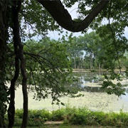 East Sandusky Bay Preserve Metropark