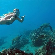 San Juan, Puerto Rico Guided Snorkel Tour