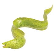 Toy Eel