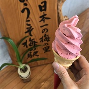 Ume Ice Cream