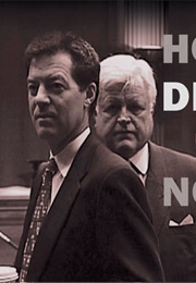 How Democracy Works Now (2010)