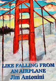 Like Falling From an Airplane (Jim Antonini)
