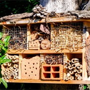 Bug Hotel