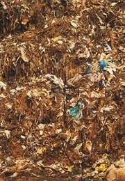 Municipal Waste (Liu Bolin - Camouflage 2014)