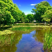 Ōno Pond, Hokkaido University, Sapporo