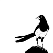#186 the Magpie