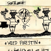 Weed Forestin' (Sebadoh, 1990)