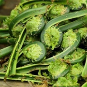 Boiled Fiddleheads
