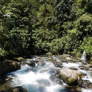 Mindo River (Esmeraldas River), Ecuador