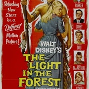 The Light in the Forest