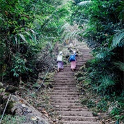 Stairs to Nongriat, India