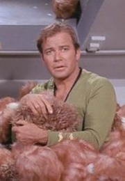 Star Trek (TOS):  the Trouble With Tribbles (1967)