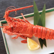 Ise Ebi Spiny Lobster
