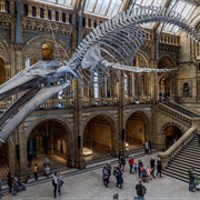 National History Museum, London