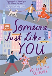 Someone Just Like You (Meredith Schorr)