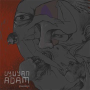 Ağaçkakan - Uyuyan Adam